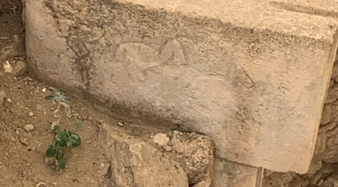 Do You Have the Stamina For This?